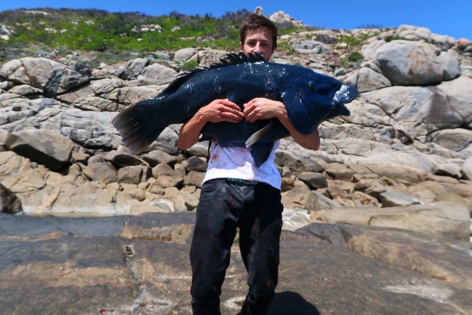 Rock Fishing Australia for Monster Blue Groper 