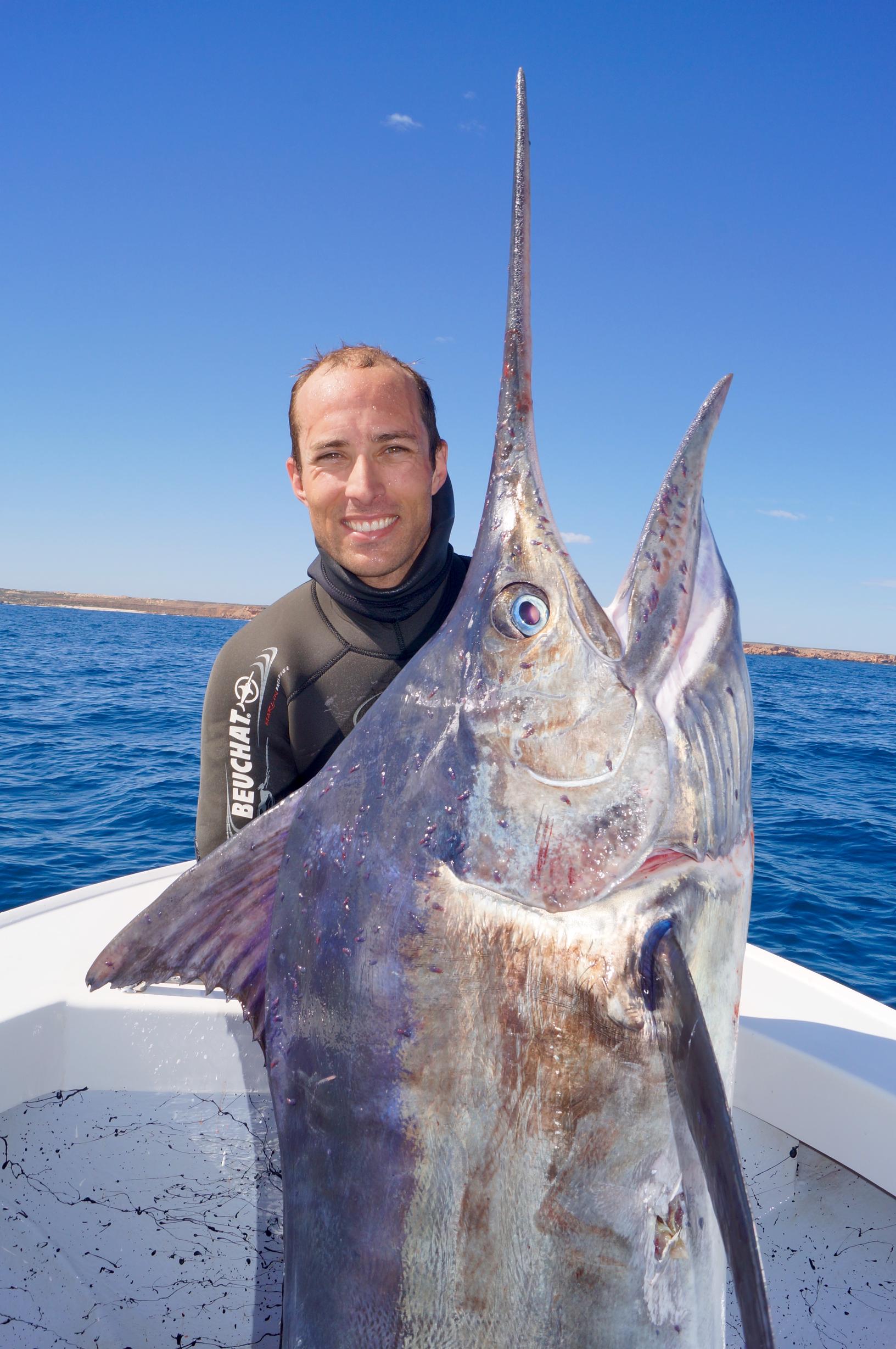 Black Marlin Fishing Fishwrecked Fishing WA Fishing Photos