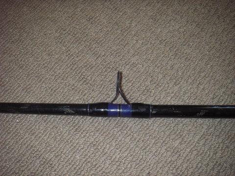 IMGP2521.JPG