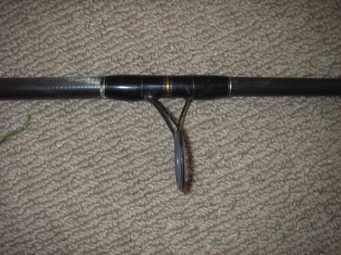 IMGP2523.JPG