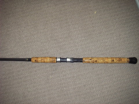 IMGP2533.JPG