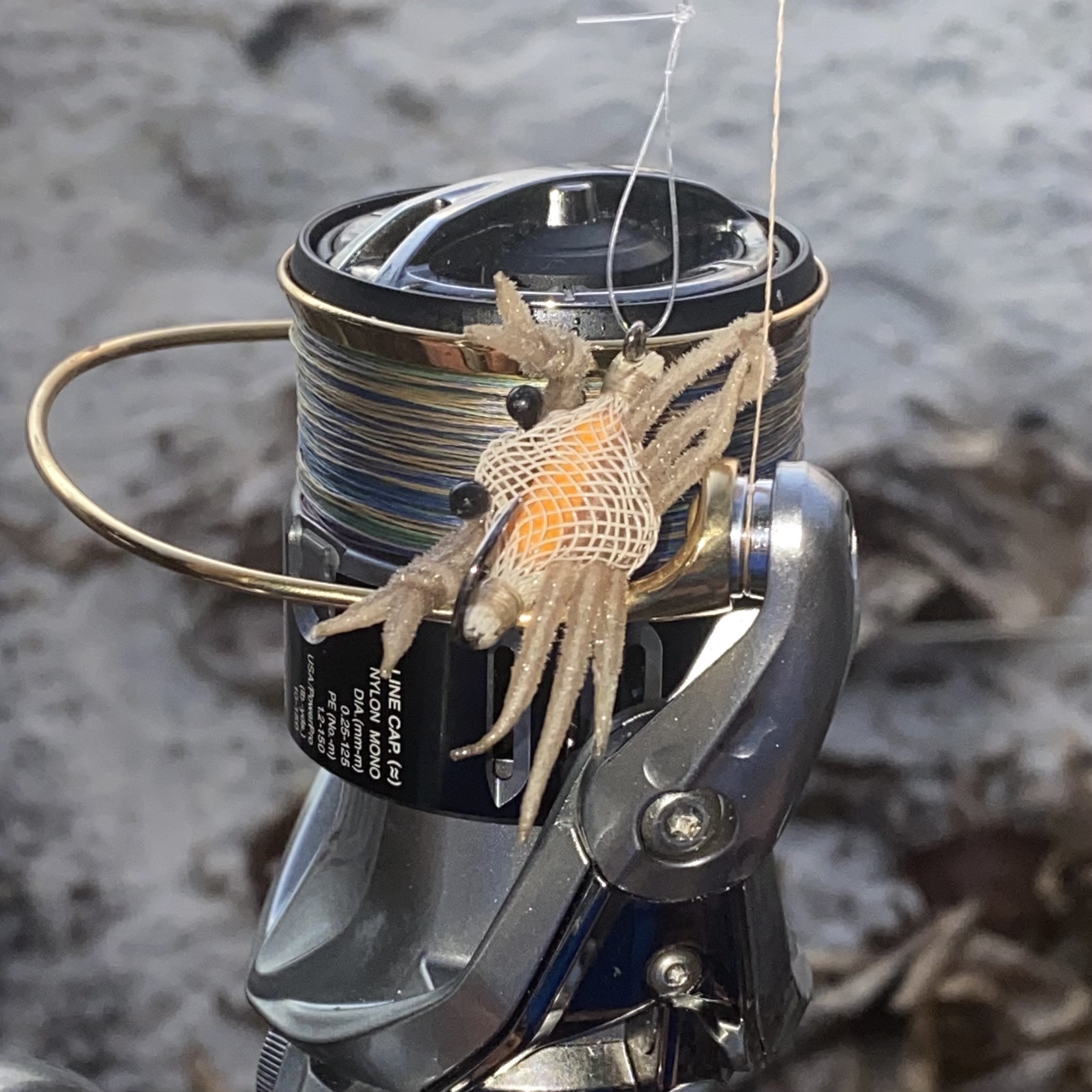 Bonefish on Crab Fligs  Fishing -  - Fishing WA. Fishing  Photos & Videos