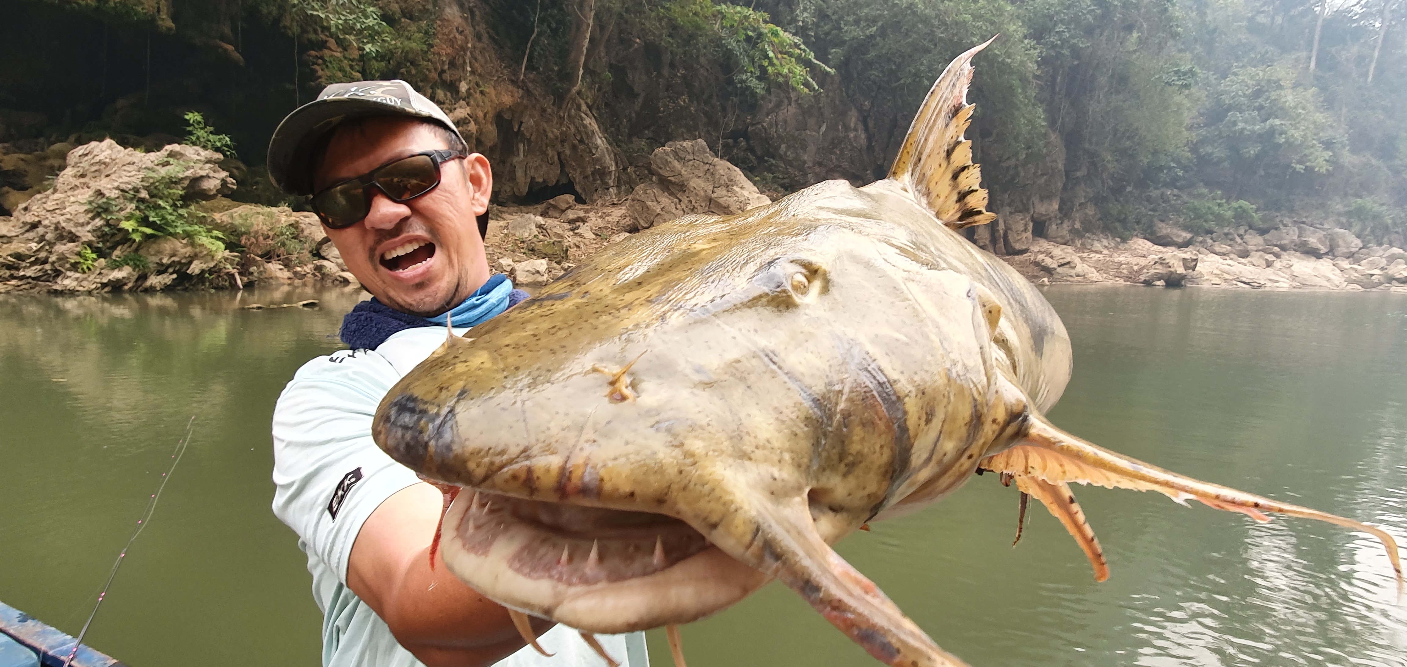 Goonch ( Bagarius yarrelli )- Man Eating Catfish Thailand- BKKGUY