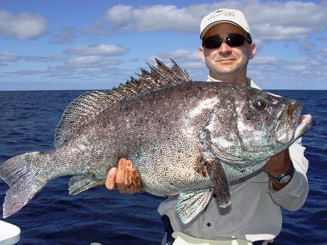 Mangrove Snapper rig. - The Hull Truth - Boating and Fishing Forum