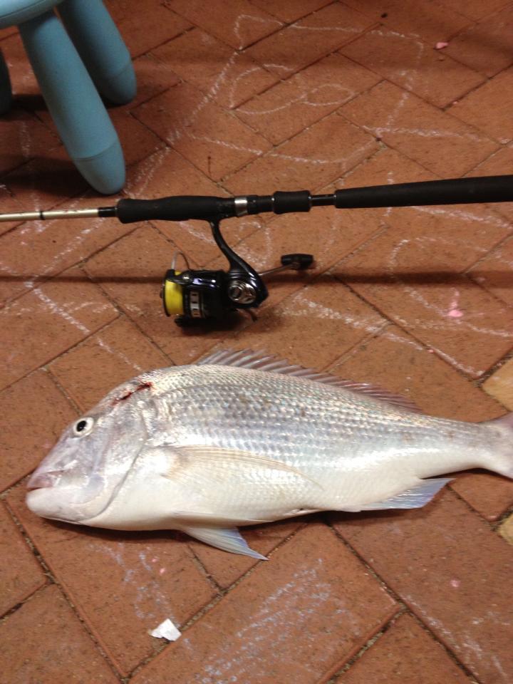 Reports  Fishing -  - Fishing WA. Fishing Photos & Videos