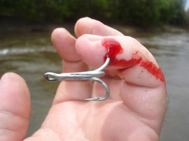 Ouch That s Gotta Hurt Fishing Fishwrecked Fishing WA 