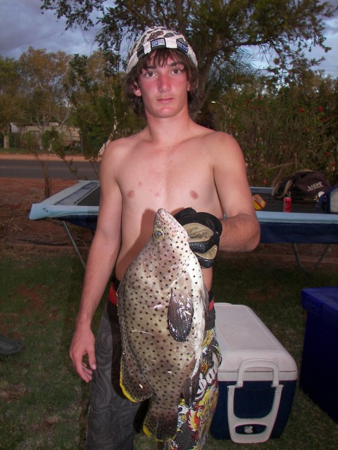 spearing/diving the pilbara