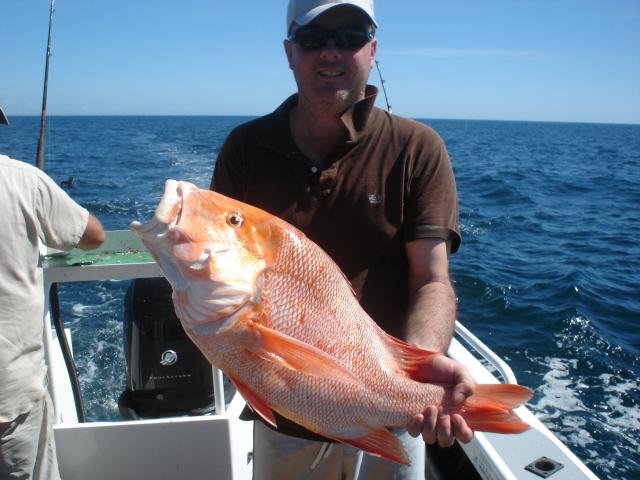 XL RED caught off the dampier coast XL RED caught off the dampier coast