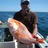 XL RED caught off the dampier coast