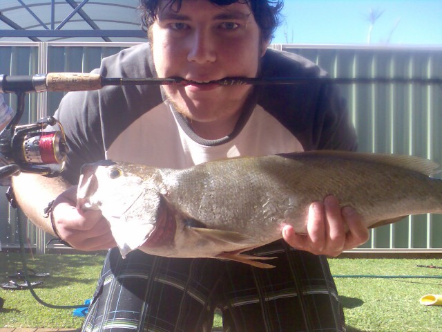 yeow mulloway on bream combo's are fun