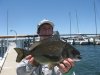 boxing day big bream