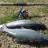 Trout fishing @ Golden Ponds