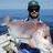 Pink Snapper angle
