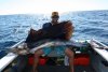 sailfish 2.7 meters from a tinny. Adam Smallridge
