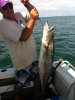 13.5 kg spanish mackerel trolling north west of faure island (2nd channel)