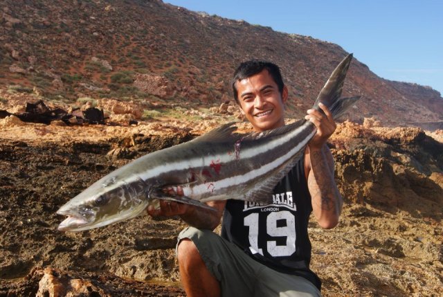 First Cobia Spinning 