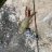 Dongara squidding 