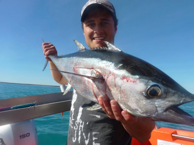 Bens Broome Bluefin