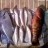 yesterday's catch