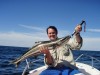 Cobia Trolled up on Skirted Gar