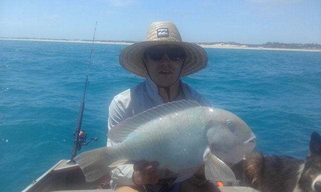 Yesterdays bluebone