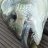 Bream