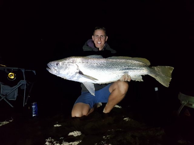 Perth metro mulloway