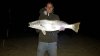 Perth metro mulloway