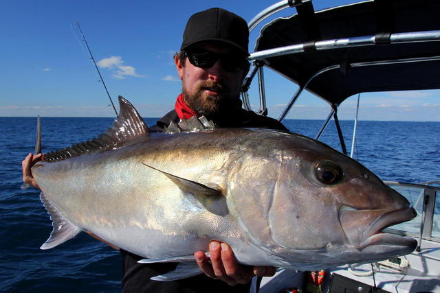 Hello Sambo | Fishing - Fishwrecked.com - Fishing WA. Fishing Photos