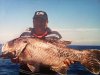 dads pb dhuie