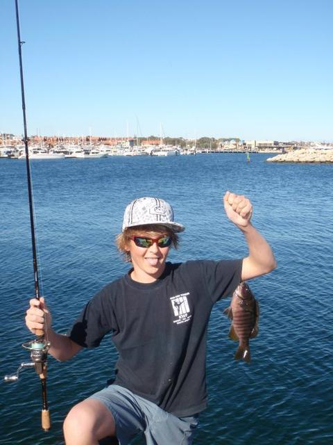 Hillarys Fishing Yesterday