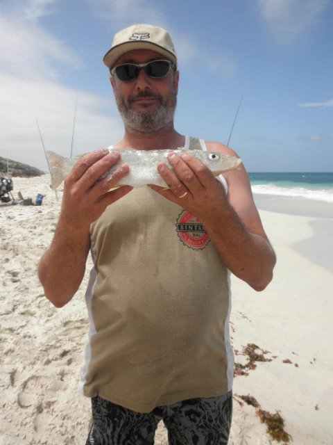 400mm Sand Whiting