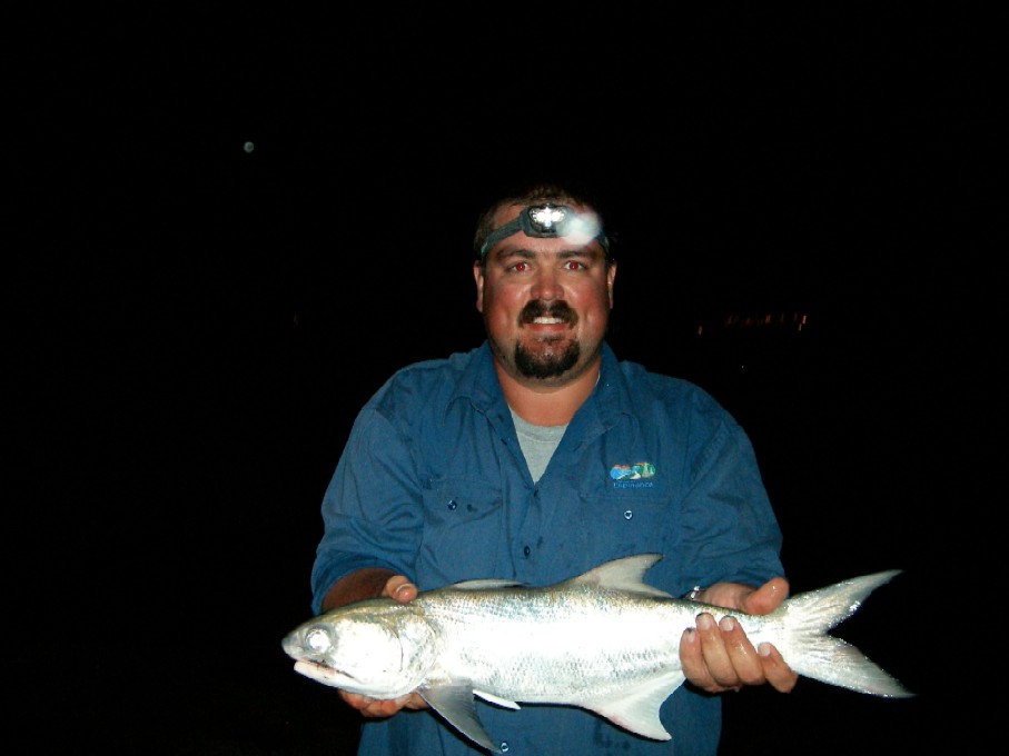 salmon at night