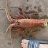 Smashed it