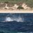 Bunker Bay Black Marlin by Six Fish Dunsborough