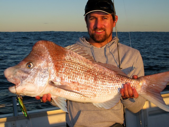 Bumpy Big Snapper