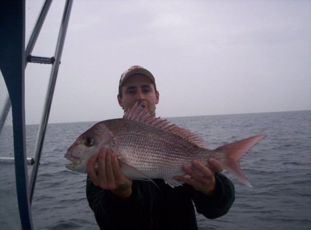 City Beach Snapper 21-05-05