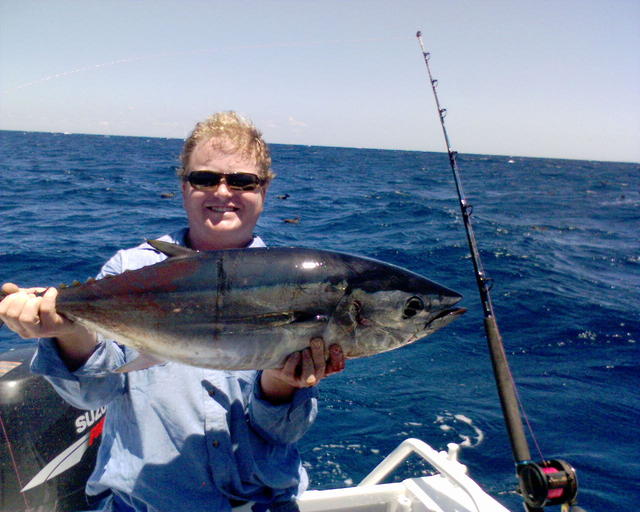 Same fish different shot (bluefin)