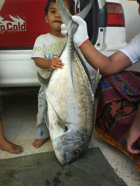 Red sea fishing