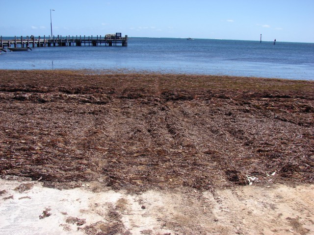 Town Ramp at Leeman