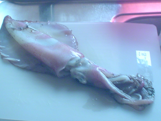 another pic of the squid i caught yesterday..