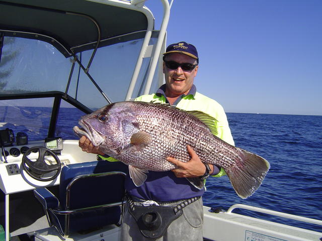 Nice Fat Dhuie