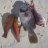 Mixed bag up at Grey
