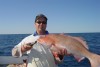 Bibs Coral Trout