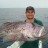 Abrolhos Dhu