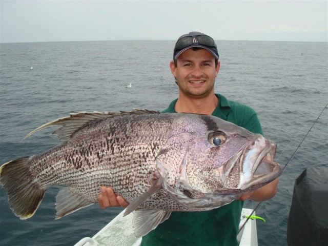 Abrolhos Dhu