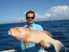 Barty's Coral Trout