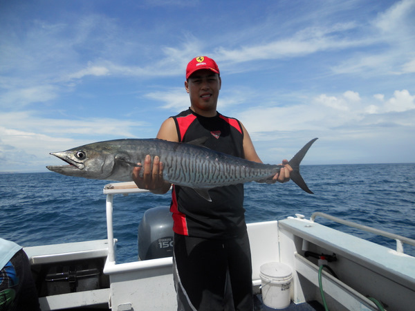 Kalbarri's spaniard