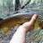a nice brown from one of the tightest creeks in pemberton