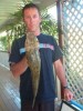 Flathead